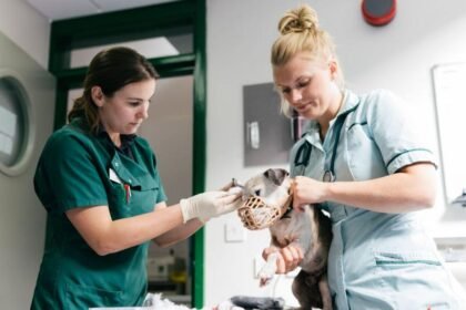 Vet prescription fees capped under rule changes