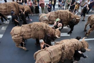 A spectacle of puppetry: Buffalo parade through New York City