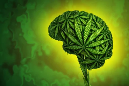 Cannabis users were twice as likely to commit violence, review finds