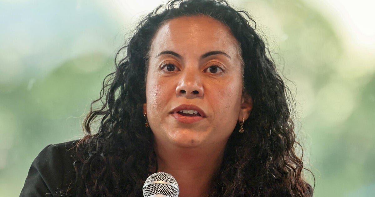 Rep. Analilia Mejia calls ICE a "rogue agency" that needs to be abolished