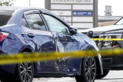Another shooting involving an ICE agent