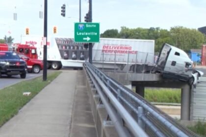 Government truck inspections decline plummeting in many states