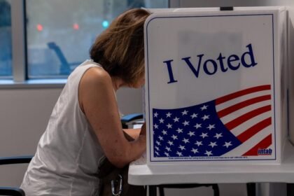 How data centers and immigration policy are impacting voters ahead of the 2026 midterms