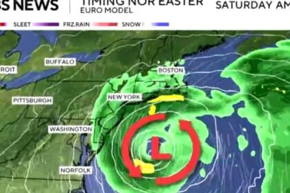 Latest on nor'easter track up East Coast, Hurricane Nolo's path toward Hawaii