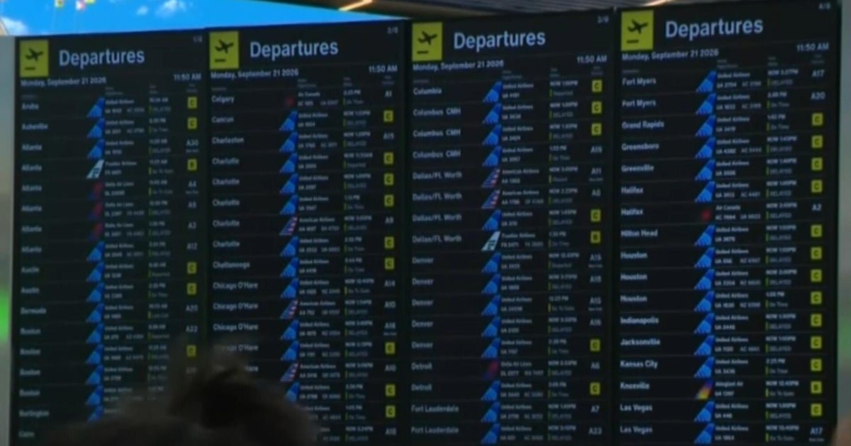 Massive East Coast air travel disruption caused by accidentally cut fiber line, Duffy says