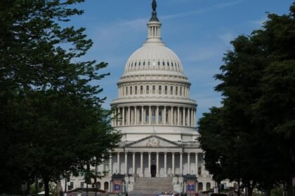 New book makes the case for how Democrats can build a lasting supermajority in Congress