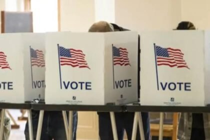 Supreme Court allows use of database to review voter rolls