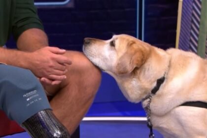 U.S. Mint and America's VetDogs unveil commemorative coins honoring service dogs