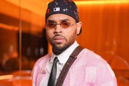 Chris Brown Will Get New Dog Attack Trial, But Only If Housekeeper Rejects Reduced $9.5 Million Award