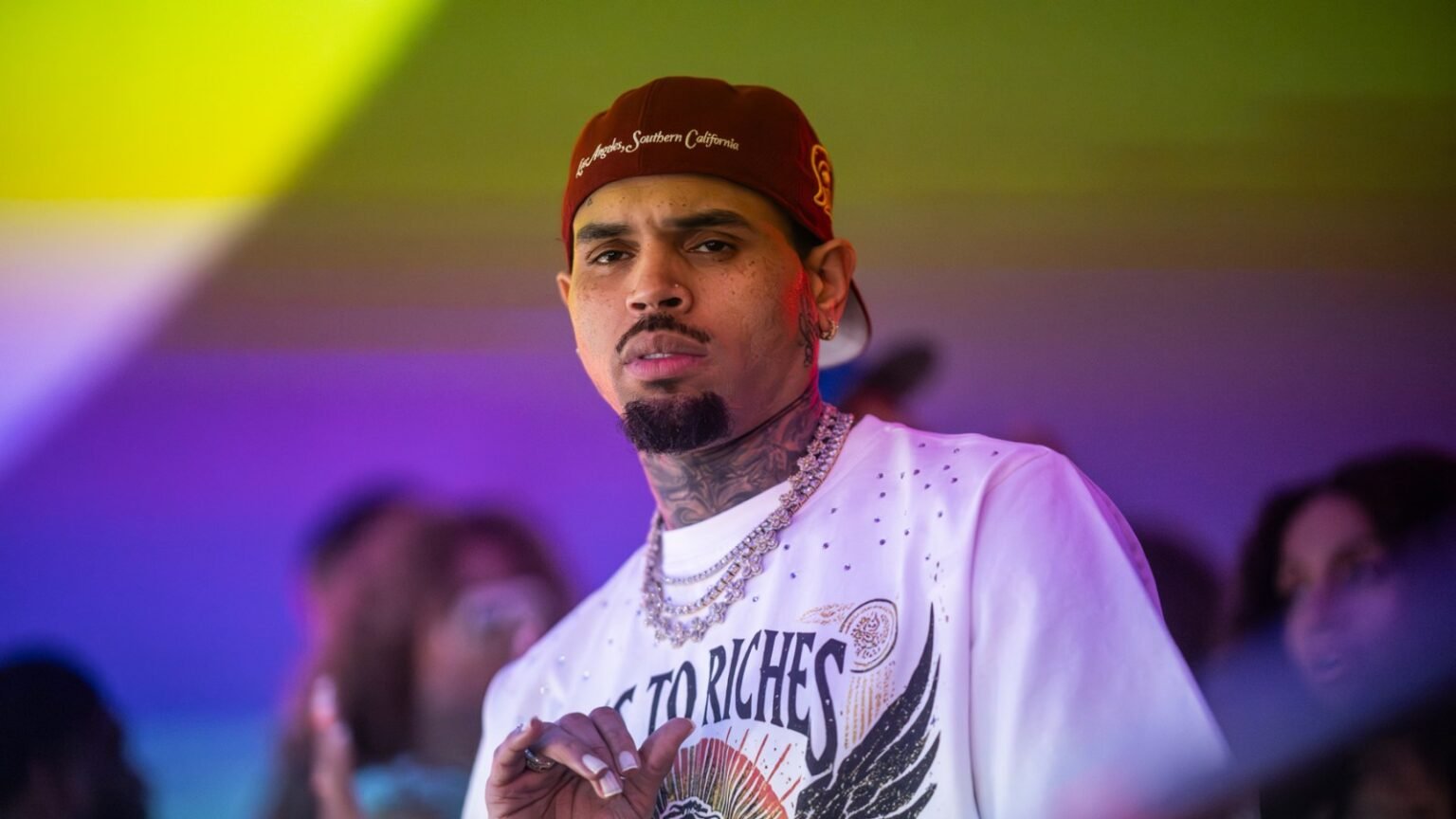 Judge Poised to Slash $12.9 Million Jury Award in Chris Brown Dog Mauling Case