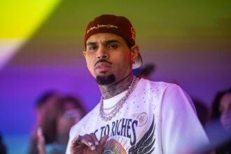 Judge Poised to Slash $12.9 Million Jury Award in Chris Brown Dog Mauling Case