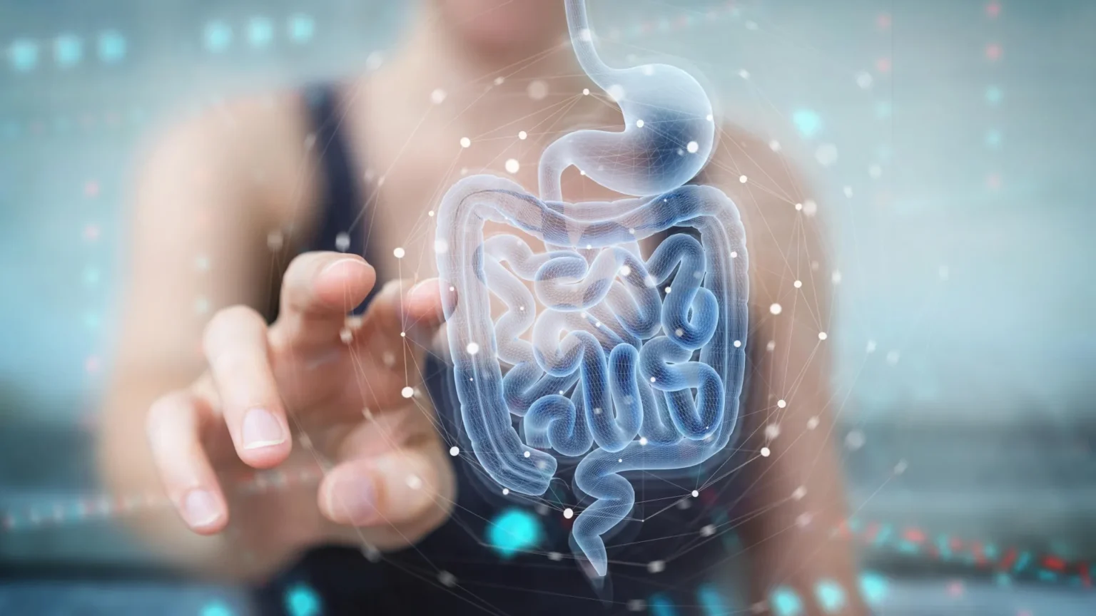 Scientists find a natural gut compound that helps heal the intestine