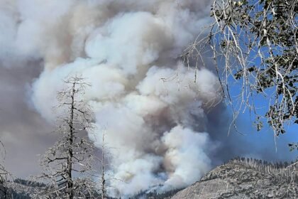 Helicopter fighting Yosemite National Park fire crashes, killing 2: Officials