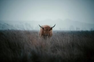 Bitcoin's 44% gain in third quarter teases full-blown crypto bull run