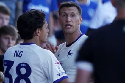 FA charges Cardiff's Bielik as police end inquiry