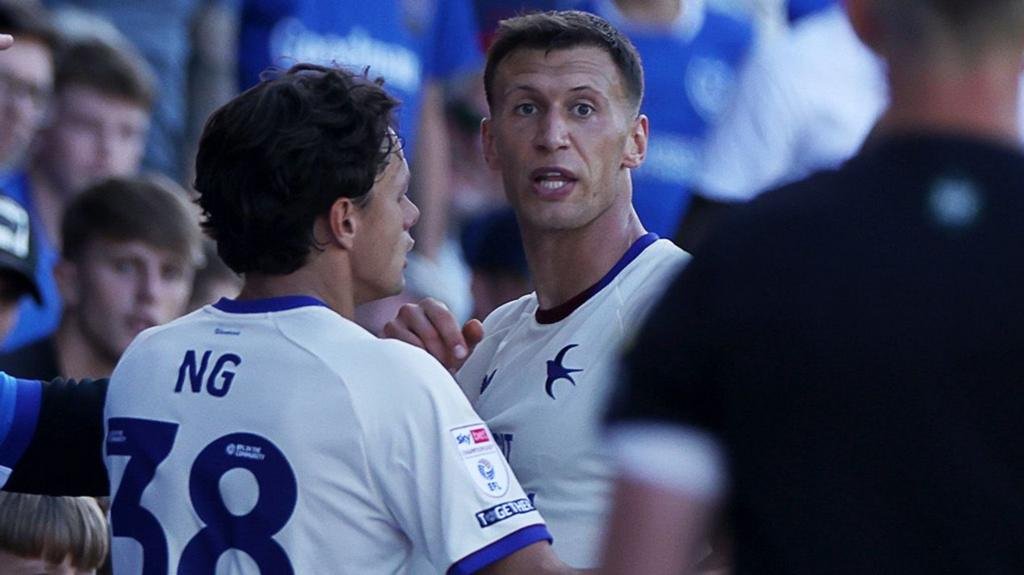 FA charges Cardiff's Bielik as police end enquiry