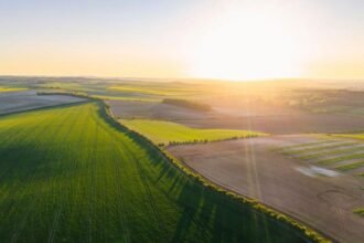 Farmers' fury at online scramble for £233m funding