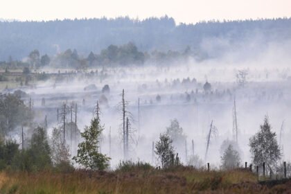 In Europe, Today's Children Will Live Through Nearly Twice as Many Fire Weather Days Than Their Grandparents