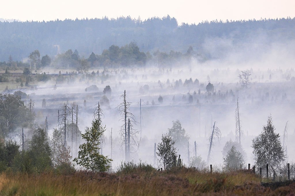 In Europe, Today's Children Will Live Through Nearly Twice as Many Fire Weather Days Than Their Grandparents