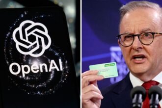 What you need to know about the OpenAI Australian government hack