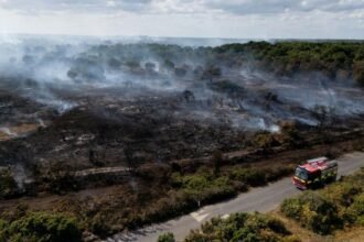Lives 'will be lost' unless UK does more to combat wildfires, committee chair says