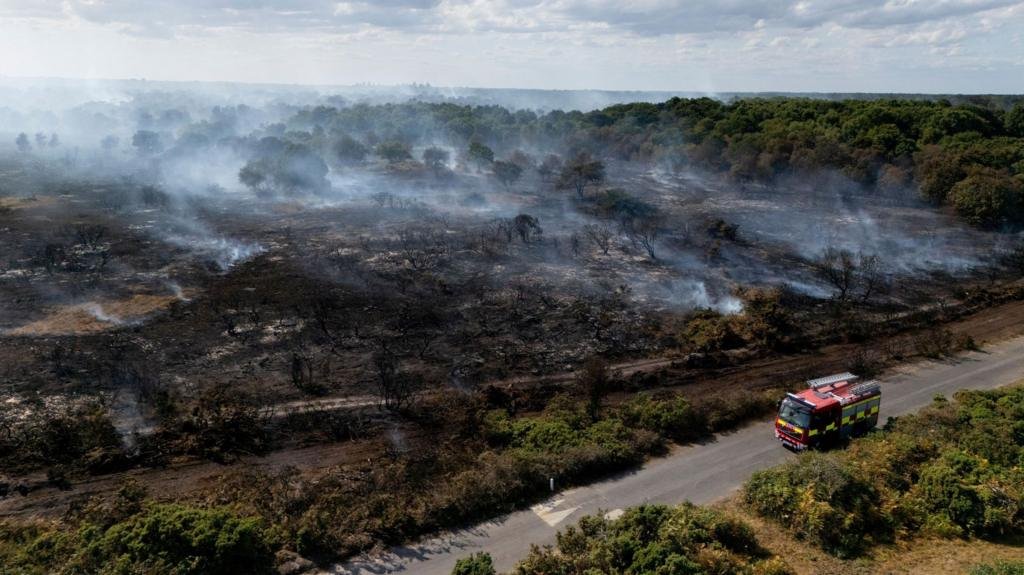 Lives 'will be lost' unless UK does more to combat wildfires, committee chair says