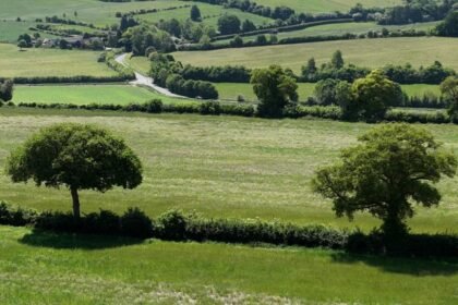 Former farmland to be restored to boost wildlife