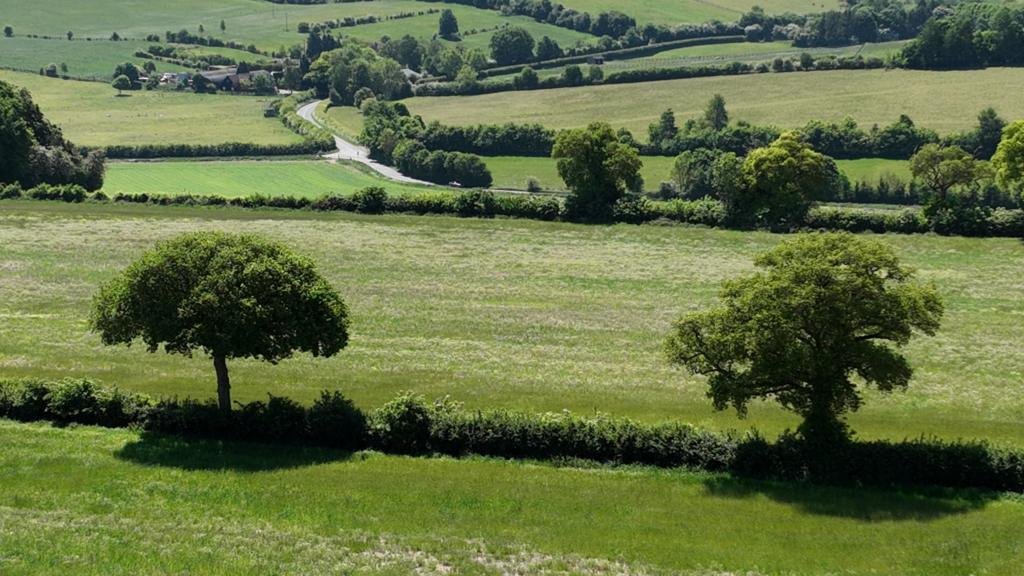 Former farmland to be restored to boost wildlife