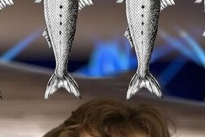 The truth about oily fish and your brain