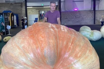 Giant veg records smashed despite 'bonkers' summer