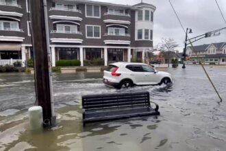 Watch: Videos show aftermath of nor'easter as streets flooded, events cancelled