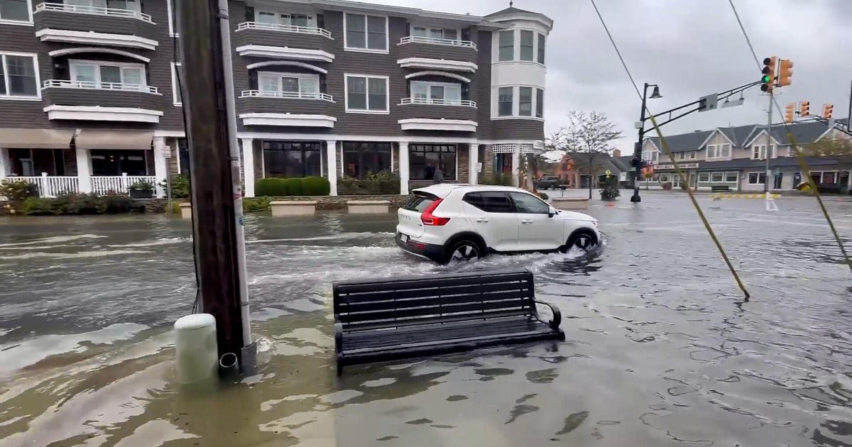 Watch: Videos show aftermath of nor'easter as streets flooded, events cancelled
