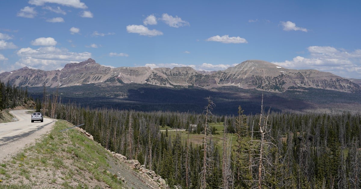 BASE jumper dies after falling from 700-foot Utah cliff
