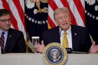 Trump, Johnson to meet with AI execs at White House amid debate over safety