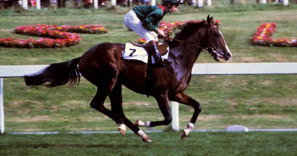 Kidnapping of prized racehorse still unsolved decades after he was taken