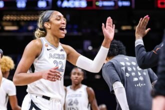 Wilson wins 3rd straight AP WNBA Player of the Year; Reese top defender