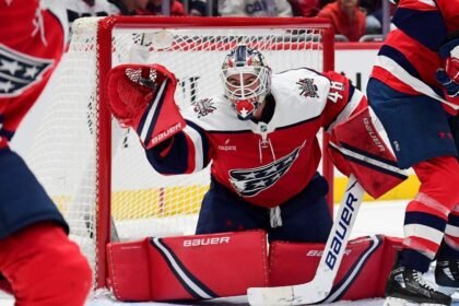 Goalie guide: From the top-tier netminders to the midround gambles
