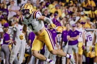 LSU All-SEC LB Weeks has fracture in leg, sources say