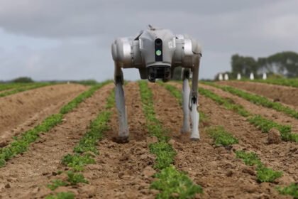 Robot dogs on farms do a lot more than just guarding