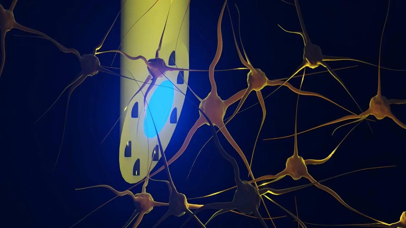 Scientists create a needle-thin brain implant that can do three jobs at once