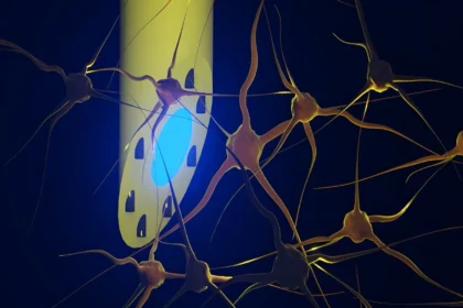 Scientists create a needle-thin brain implant that can do three jobs at once