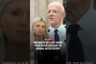 Why has the UK's most senior police officer criticised the criminal justice system?