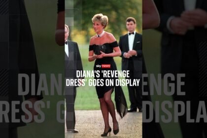 Diana's 'revenge dress' goes on display