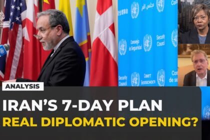 Iran's Hormuz plan is not a real opening, analyst warns: Analysis