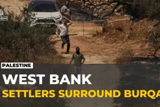 West Bank village under pressure: Settler attacks target its last remaining farmland