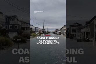Coast flooding as powerful Nor'easter hits