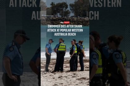 Swimmer dies after shark attack at popular Western Australia beach