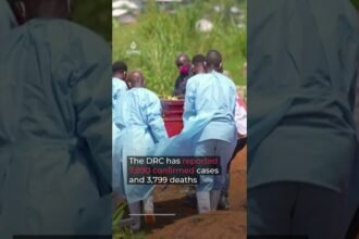 Ebola spreads in DR Congo, putting neighbouring nations at risk | #AJ shorts