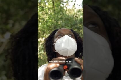 CNN Hero Dr. Gladys Kalema-Zikusoka's work protecting endangered mountain gorillas