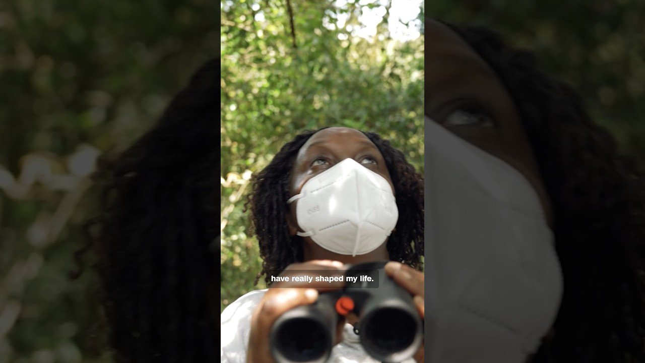 CNN Hero Dr. Gladys Kalema-Zikusoka's work protecting endangered mountain gorillas